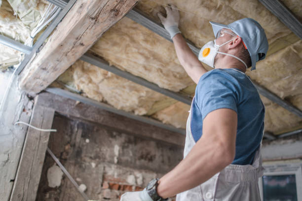 Best Eco-Friendly Insulation in Columbus, MT