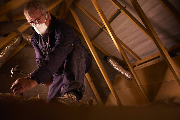 Types of Insulation We Offer in Columbus, MT